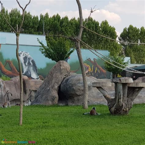 eskişehir hayvanat bahçesi giriş ücreti